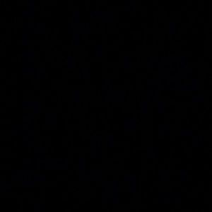 Meet your Posher, Tyiesha